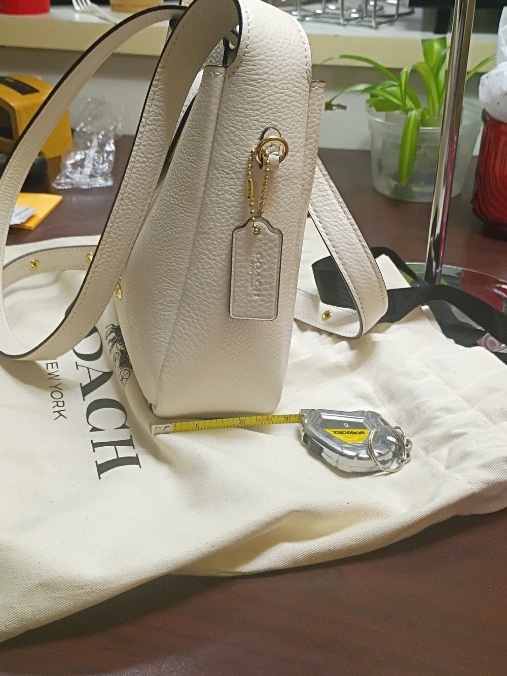 Coach Hadley Convertible Crossbody Bag - Picture 5 of 13